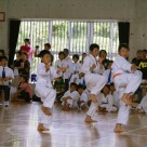 2008 Okinawa Tornament