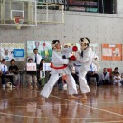 2008 Okinawa Tornament